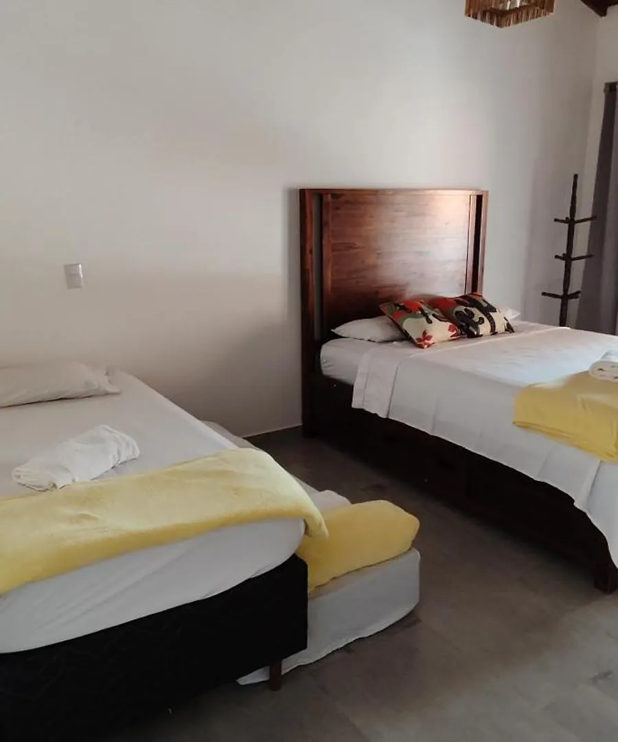 Апартаменты Casa Do Mangue Порту-Сегуру Проживание в семье